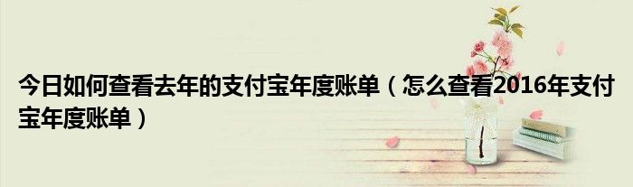 今日如何查看去年的支付宝年度账单（怎么查看2016年支付宝年度账单）
