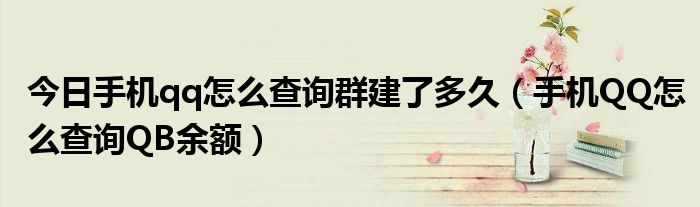今日手机qq怎么查询群建了多久（手机QQ怎么查询QB余额）
