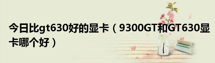 今日比gt630好的显卡（9300GT和GT630显卡哪个好）