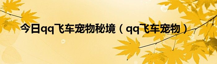 今日qq飞车宠物秘境（qq飞车宠物）