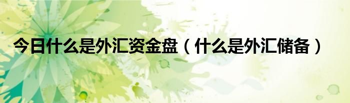 今日什么是外汇资金盘（什么是外汇储备）