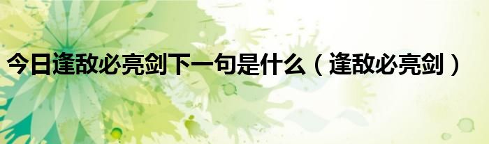 今日逢敌必亮剑下一句是什么（逢敌必亮剑）