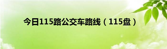 今日115路公交车路线（115盘）