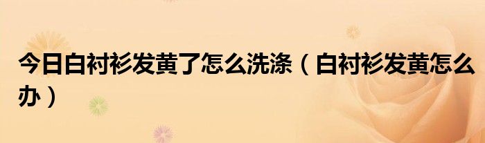 今日白衬衫发黄了怎么洗涤（白衬衫发黄怎么办）