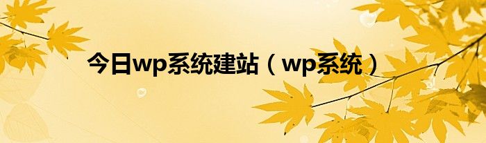 今日wp系统建站（wp系统）