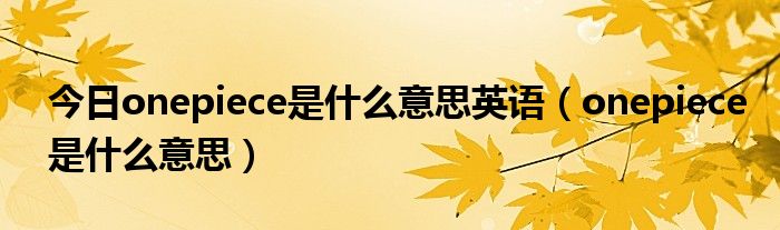 今日onepiece是什么意思英语（onepiece是什么意思）