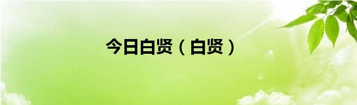 今日白贤（白贤）
