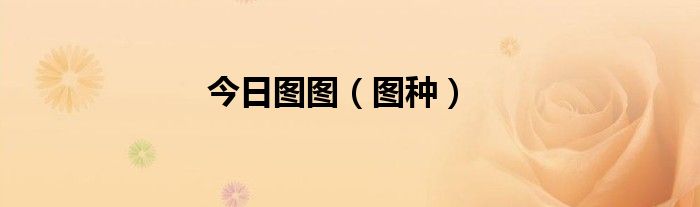 今日图图（图种）