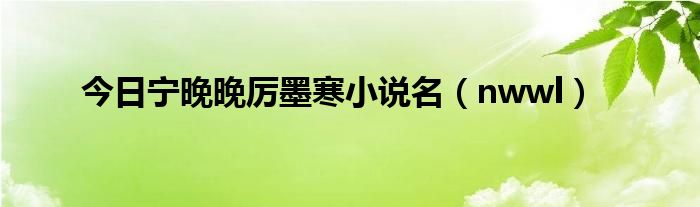 今日宁晚晚厉墨寒小说名（nwwl）