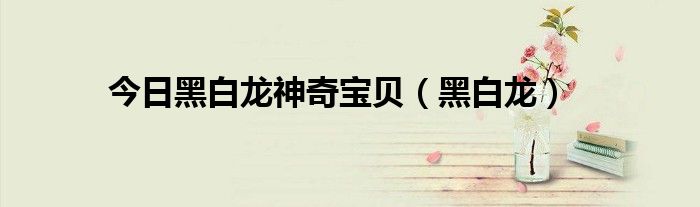 今日黑白龙神奇宝贝（黑白龙）