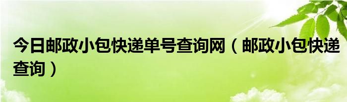 今日邮政小包快递单号查询网（邮政小包快递查询）