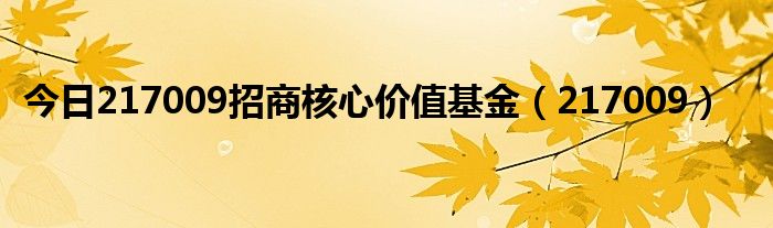 今日217009招商核心价值基金（217009）
