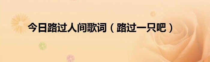 今日路过人间歌词（路过一只吧）