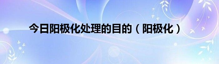 今日阳极化处理的目的（阳极化）