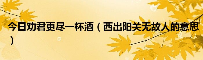 今日劝君更尽一杯酒（西出阳关无故人的意思）