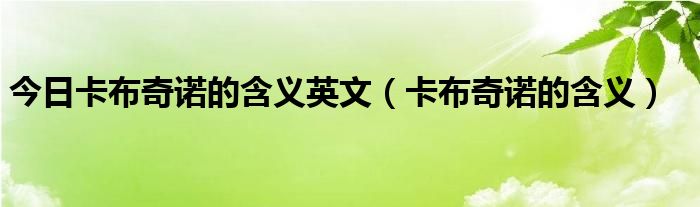 今日卡布奇诺的含义英文（卡布奇诺的含义）
