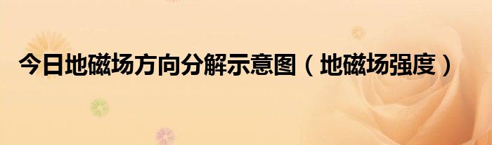 今日地磁场方向分解示意图（地磁场强度）