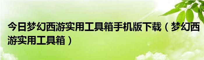 今日梦幻西游实用工具箱手机版下载（梦幻西游实用工具箱）