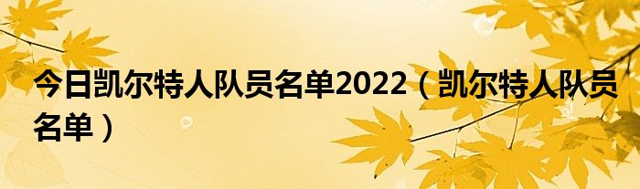 今日凯尔特人队员名单2022（凯尔特人队员名单）