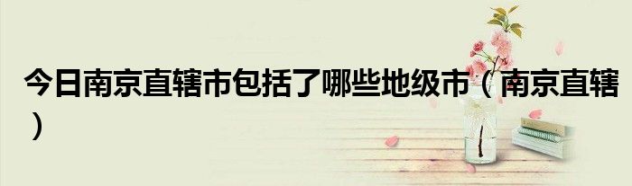 今日南京直辖市包括了哪些地级市（南京直辖）
