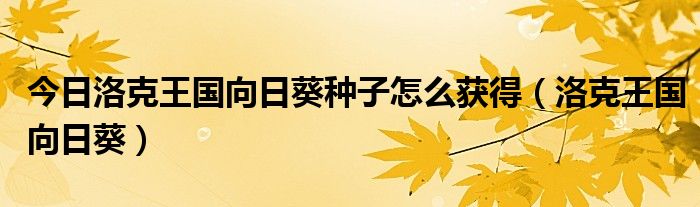 今日洛克王国向日葵种子怎么获得（洛克王国向日葵）