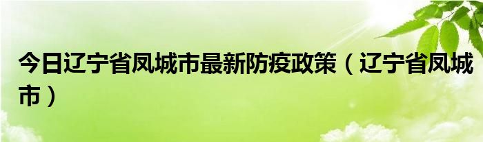 今日辽宁省凤城市最新防疫政策（辽宁省凤城市）