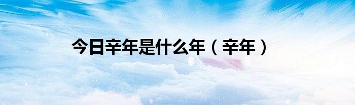 今日辛年是什么年（辛年）
