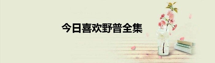 今日喜欢野普全集
