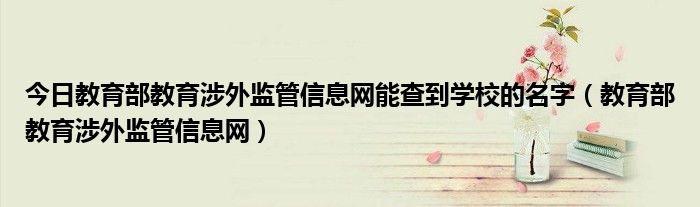 今日教育部教育涉外监管信息网能查到学校的名字（教育部教育涉外监管信息网）