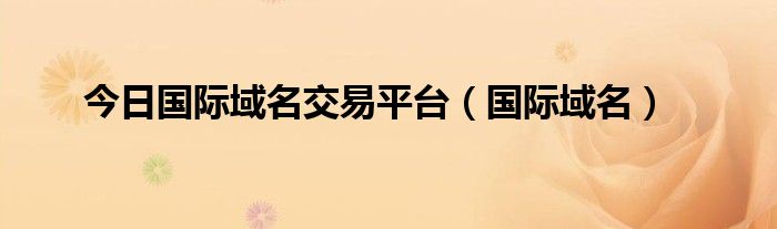 今日国际域名交易平台（国际域名）