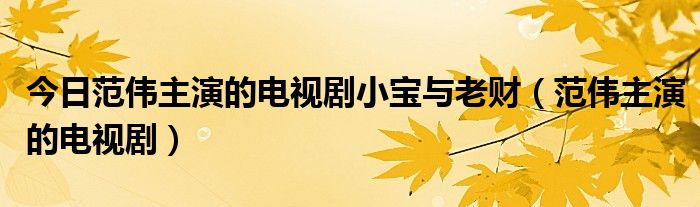 今日范伟主演的电视剧小宝与老财（范伟主演的电视剧）