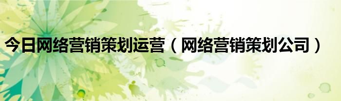 今日网络营销策划运营（网络营销策划公司）