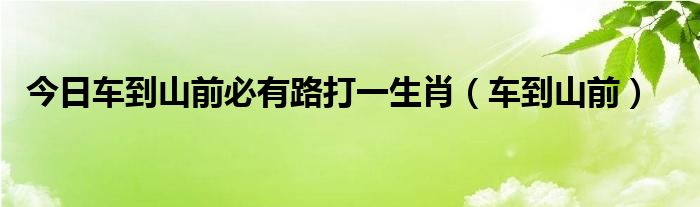 今日车到山前必有路打一生肖（车到山前）