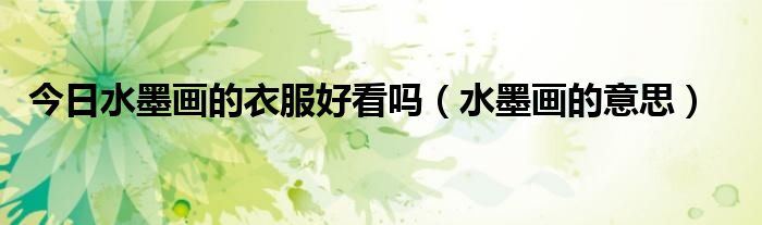 今日水墨画的衣服好看吗（水墨画的意思）