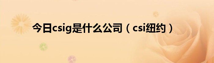 今日csig是什么公司（csi纽约）