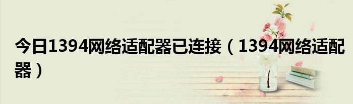 今日1394网络适配器已连接（1394网络适配器）