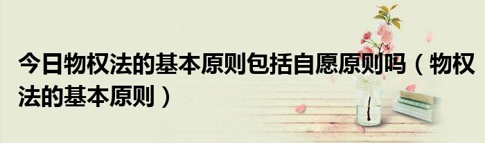 今日物权法的基本原则包括自愿原则吗（物权法的基本原则）