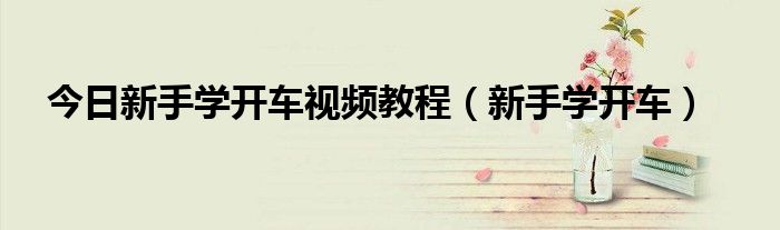 今日新手学开车视频教程（新手学开车）
