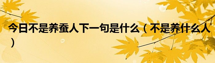 今日不是养蚕人下一句是什么（不是养什么人）