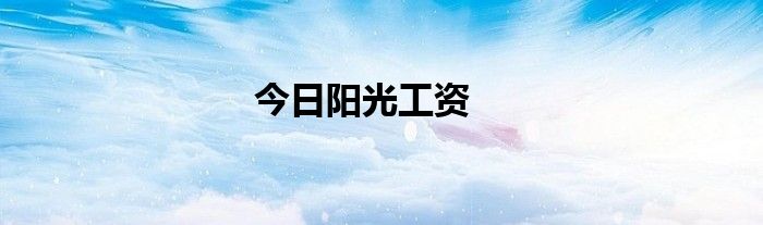 今日阳光工资