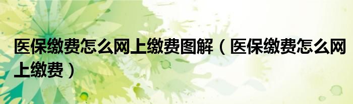 医保缴费怎么网上缴费图解（医保缴费怎么网上缴费）
