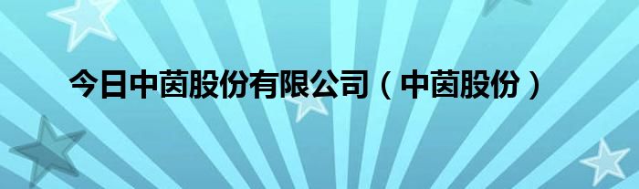 今日中茵股份有限公司（中茵股份）