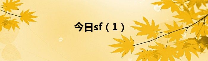 今日sf（1）