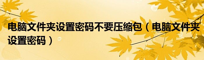 电脑文件夹设置密码不要压缩包（电脑文件夹设置密码）