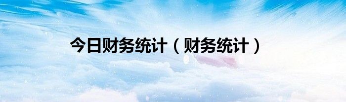 今日财务统计（财务统计）