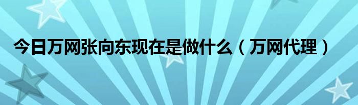 今日万网张向东现在是做什么（万网代理）