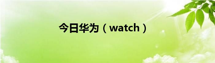 今日华为（watch）