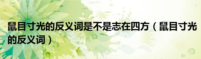 鼠目寸光的反义词是不是志在四方（鼠目寸光的反义词）
