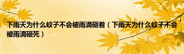下雨天为什么蚊子不会被雨滴砸着（下雨天为什么蚊子不会被雨滴砸死）