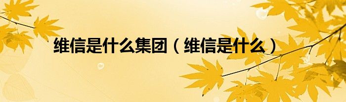 维信是什么集团（维信是什么）